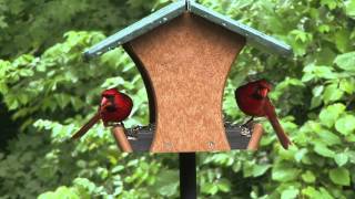 Wild Birds Unlimited  EcoTough® Classic Feeder OnDisplay [upl. by Hugh]