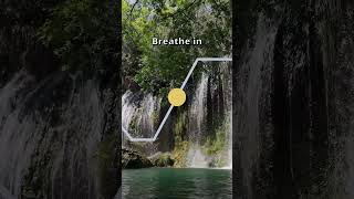 Parasympathetic Breathing Exercise 4462 breathingforanxiety breathe breathingexercise [upl. by Yliab912]