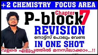 P block elements  Revision Class 12 Chemistry Chapter 7 Focus area  in malayalam  Madhav sir [upl. by Ingraham106]