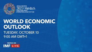 Press Briefing World Economic Outlook October 2023 [upl. by Asilim344]