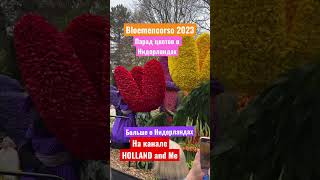 Парад цветов в Нидерландах Bloemencorso 2023 shorts [upl. by Adranoel]