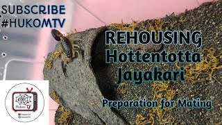 REHOUSING OUR HOTTENTOTTA JAYAKARI  KAMISS MAG VLOG [upl. by Nanci]