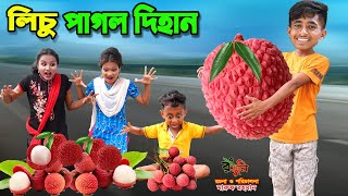 লিচু পাগল দিহান  lichu pagol dihan  bengali fairy tales  dihan  bihar [upl. by Annaya196]