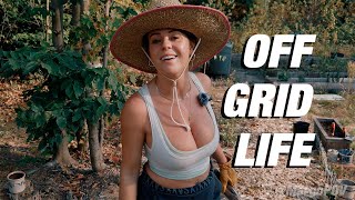 Daily Life Off Grid Homestead Vlog [upl. by Marna875]