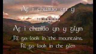 Mae Hiraeth yn Fy Nghalon  Dafydd Iwan geiriau  lyrics [upl. by Lusar]