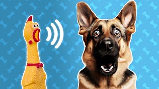 Your Dog Will Go CRAZY Over These Squeaky Sounds 🤩 [upl. by Moe]