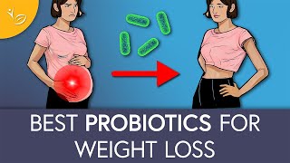 Top Probiotic Strains for Weight Loss [upl. by Floro]