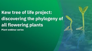 Kew tree of life project discovering the phylogeny of all flowering plants [upl. by Cutlip]