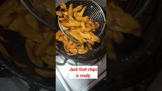 Jackfruit chips making shortsyoutubeshortsRupikaS vlogs [upl. by Annauqaj]