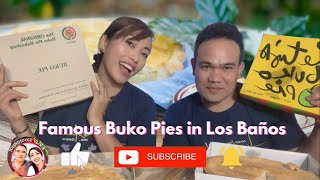 Famous Buko Pies in Los Baños Laguna [upl. by Nekcerb]