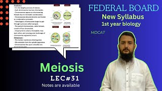 Meiosis  Stage of meiosis  Significance of meiosis  class 11 [upl. by Adnamaa]