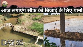 day35  आज फिर से है पानी की बारी theLifeofvikramChoudhary vlog farming agriculture [upl. by Krueger]