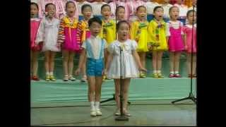 Song Sin Mi Song 8 DPRK Music [upl. by Asemaj126]