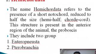 Protochordata classification part A [upl. by Perreault]