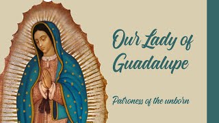 Song  Our Lady of Guadalupe with Lyrics  Catholic Hymn  Prayer for the unborn  Mother Mary [upl. by Eunice]