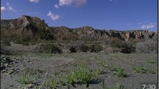 Ruta por el desierto de Tabernas en Almería en Espacio Protegido [upl. by Eillam]