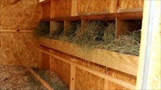 Building Nesting Boxes for the Hen House at the Preppers Retreat [upl. by Anairad]