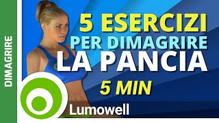 5 Esercizi che Bruciano il Grasso Addominale  Allenamento Pancia Piatta [upl. by Redmond]