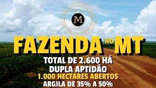 LINDA FAZENDA NO MATO GROSSO COM 2600 HÁ DUPLA APTIDÃO TERRAS DE ALTA QUALIDADE  MercadodeAtivos [upl. by Eelamme]