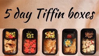 5 day Tiffin recipes Indian  Lunch Box Ideas  School Tiffin box Recipes [upl. by Hulbig]