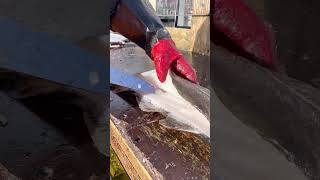 How to Fillet a Cod Fish  The Norwegian style 🔪 [upl. by Hiasi]