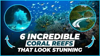 6 Incredible Coral Reefs that look Stunning  Coral Reefs amp Colorful Sea Life [upl. by Demetris]