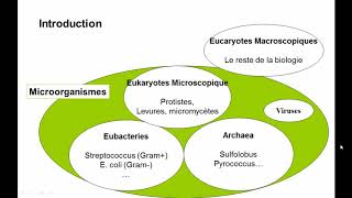 Microbiologie Générale 2019  CM1 [upl. by Eserahc]