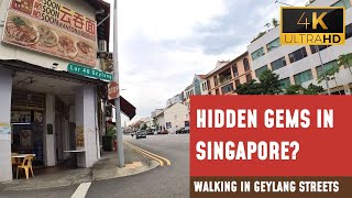 Walking Through Geylang Streets Uncovering Singapores Hidden Gems  4K Ultra HD60fps [upl. by Buehrer]