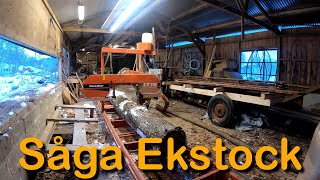 Såga nästa frusna ekstock Sågar slabbar i WoodMizer [upl. by Atteras]