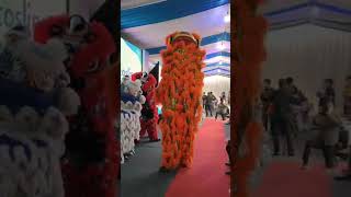 Barongsai budhi mulya grand opening COSLINE cikupa [upl. by Sire229]