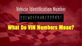 What Do VIN Numbers Mean  Wrenchin Up [upl. by Nhoj314]