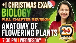 Plus One Biology Christmas Exam  Anatomy of Flowering Plants  Full ChapterChapter 6  Exam Winner [upl. by Casie]