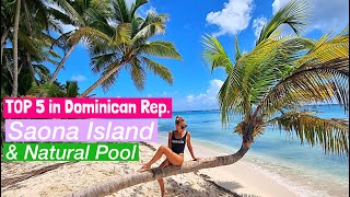 Saona Island Tour All Inclusive Speedboat and Catamaran TOP5 Excursions in Dominican Rep [upl. by Nyrac]