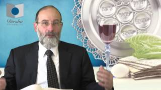 Pesach passover from a Jewish Perspective [upl. by Leahcimaj]