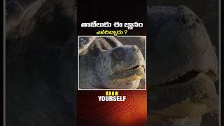 తాబేలుకు ఈ జ్ఞానం ఎవరిచ్చారు  Maitreya Channel [upl. by Ettenav384]