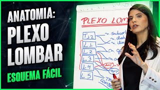 ANATOMIA PLEXO LOMBAR esquema fácil  Dra Walkyria Fernandes [upl. by Dnomyar872]