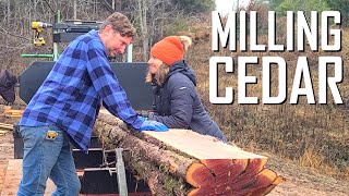 Milling cedar on our custom sawmill  E110 [upl. by Inkster]