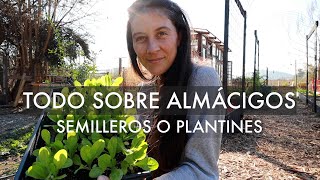 Empieza bien tus Almácigos Todo sobre Plantines o Semilleros Sustrato almaciguera y Soil Blocker [upl. by Ayamat]