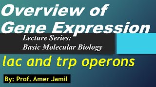 Lecture on overview of Gene expression lac and trp operons [upl. by Allsun]