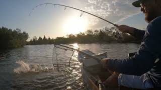 Beautiful morning fishing Haulover canal in Titusville Florida in my old town sportsman pdl120 [upl. by Darcie]