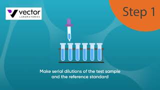 Dot Blot Tutorial [upl. by Anwahsed]