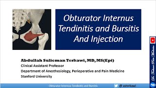 Obturator Internus Dysfunction Tendonitis Bursitis and Injection [upl. by Enreval]