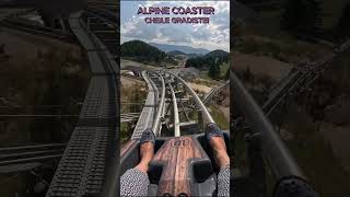 Alpine Coaster Cheile Gradistei 🌞shortsvideo nature adventure relaxare Romania Montana [upl. by Azrim]