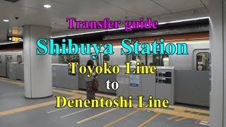 【Transfer guide】Shibuya Station quotTokyu Toyoko Linequot to quotTokyu Denentoshi Line quot [upl. by Corbie765]