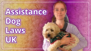 AssistanceService Dog Laws UK Explained  Coco Update [upl. by Porche285]