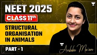 NEET 2025 Structural Organization In Animals  Part 1  Ambika Sharma [upl. by Bish]