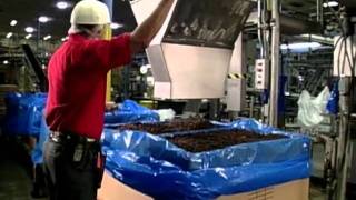 Video Raisin Processing and Packaging  How It Works [upl. by Eiramadnil]