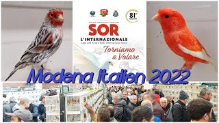 SOR L’INTERNAZIONALE Vogelausstellung amp Vogelboerse in Modena Fiere 2022 [upl. by Forster261]