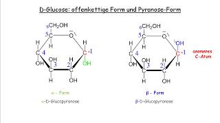 DGlucose offenkettige Form und Pyranose Form  Halbacetalbildung  Fischer und HaworthProjektion [upl. by Deana692]