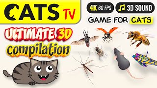 CAT TV  ULTIMATE 3D compilation 🪰🐭🐞 for CATS 😻 4K 3 HOURS [upl. by Umeh]